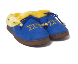 SGRho Cozy Slippers